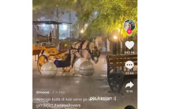 Viral Kuda Andong Malioboro Tertunduk Lesu Kehujanan, Warganet Merasa Kasihan