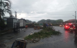 Awas Cuaca Buruk! Jangan Parkir di Bawah Pohon dan Baliho