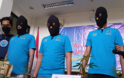 Tanam Ganja di Gejayan Sleman Sejak 2021, Pria Ini Gunakan Lampu UV sebagai Ganti Sinar Matahari