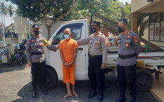 Tak Patut Ditiru, Bapak-Anak Ini Kompak Mencuri Sapi Tetangga Sendiri