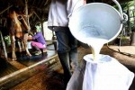 OPINI: Jadikan Susu Sebagai Bapokting