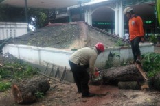 Hujan Angin Landa Jogja, Belasan Pohon Tumbang