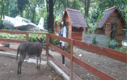 Hari Pertama Lebaran, Gembira Loka Dikunjungi 1.500 Wisatawan