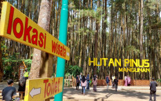 Objek Wisata Hutan Pinus Diproyeksi Padat saat Akhir Pekan