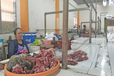 Gegara PMK, Daging Sapi di Gunungkidul Sepi Pembeli