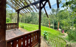 Piknik Gunungkidul, Sempatkan Singgah ke "Surga Kecil" yang Satu Ini 