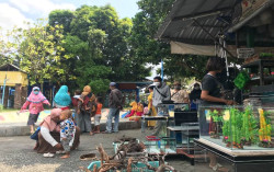 Kembali Normal, Pasar Hewan Pasty Jogja Buka hingga Malam