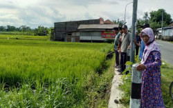 Warga Terdampak Jembatan Sogun Tuntut Sertifikat, Pemkab: Kami Terlalu Dideskreditkan
