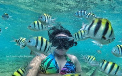 Tak Perlu Takut, Ini 5 Pantai yang Aman untuk Berenang di Jogja