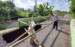 Parah! Jembatan di Sleman Ambles, Akses ke Sekolah dan Pasar Terganggu