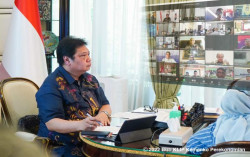 Ini Langkah Pemerintah Mencegah Meluasnya Penyakit Mulut dan Kuku (PMK) pada Hewan Ternak