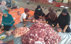 Di Tengah Wabah PMK, Jumlah Hewan Kurban di Bantul Tahun Ini Meningkat