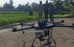 Keren! Petani di Wilayah Sleman Ini Semprot Padi Pakai Drone