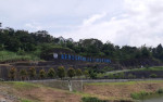 Ratusan Monyet Rusak Fasilitas Waduk Jatibarang