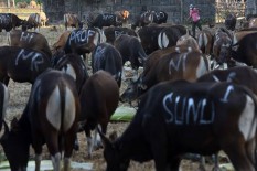 OPINI: Pembenahan Sistem Lembaga Filantropi Islam
