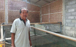 Salut, Sudah Berumur 80 Tahun, "Pakarnya" Ikan Gabus asal Sleman Ini Tetap Berbagi Ilmu