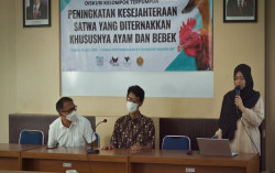 Suarakan Kandang Ternak Bebas Baterai, AFJ: Setidaknya 2030 Bisa Diterapkan Penuh