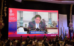 Di Seminar G20, Airlangga Jelaskan 3 Upaya Menguatkan Ketahanan Pangan