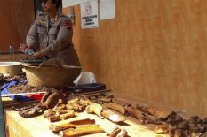Temuan Tulang Kuda Gegerkan Warga Temanggung 