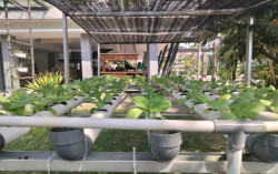 Konsep Living Space Jadi Pilihan Wisatawan
