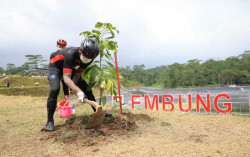 Ganjar Rehabilitasi Hutan dan Lahan demi Menjaga Lingkungan