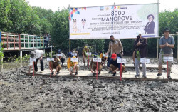 KKN PPM UGM dan Pemkab Serang Kolaborasi Rehabilitasi Kawasan Pesisir