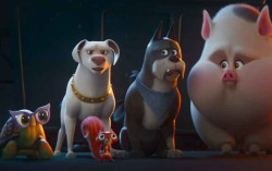 DC Rilis Animasi DC League of Super-Pets, Kisah Hewan Menjadi Superhero 