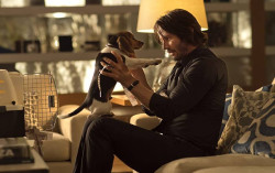Sinopsis John Wick, Memburu Pembunuh Anjing Tayang di Trans TV Malam Ini