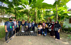 KKN-T UAA KELOMPOK 03 Bersihkan Lahan Kosong dan Budidaya Toga