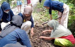 Mahasiswa Alma Ata Ciptakan Makanan dengan Bahan Pangan Lokal