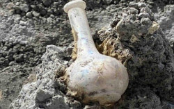 Botol Berusia 85 Tahun Berisi Daftar Tukang Ditemukan di Selandia Baru