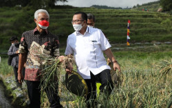 Ada Learning Center Bawang Putih di Tegal, Ini Permintaan Ganjar