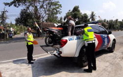 Iring-iringan Moge Tabrak Warga di Kulonprogo