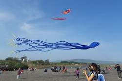 Warna-Warni Puluhan Layangan Warnai Langit Pantai Samas