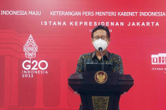 Menkes: Kelahiran 1980 ke Bawah Berisiko Kecil Terpapar Cacar Monyet