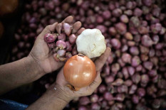Asyik...Harga Bawang Merah Makin Murah
