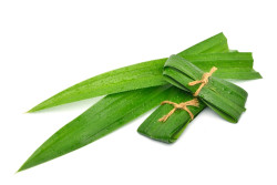 Manfaat Daun Pandan untuk Kesehatan