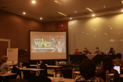 Wayang Jogja Night Carnival Digelar Langsung, Temanya tentang Pernikahan