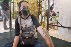 Tak Cuma Salurkan Kecintaan, Komunitas Ini Aktif Populerkan Sugar Glider pada Masyarakat