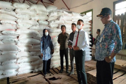 Duh, Hingga Agustus, Penyerapan Pupuk Bersubsidi di Gunungkidul Baru 25%