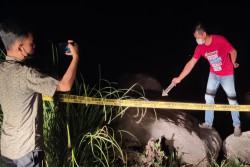 Ditaruh di Pinggir Kali, Uang Rp5 Juta Milik Pencari Pasir Progo Raib