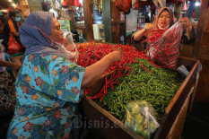 Pekan Ini Harga Cabai Kembali Naik, Telur Ayam Turun