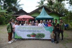 UPNVY Pandu Warga Mengolah Tanaman Kelor