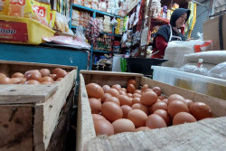 Harga Kebutuhan Pokok di Sleman Belum Terdampak Kenaikan BBM