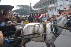 Belasan Influencer Naik Andong Mengitari Nol KM Jogja Kampanyekan Edukasi Kecantikan