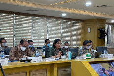 OPINI: Menengok Potensi Transformasi Ekonomi Hijau