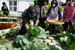 Kunjungi Kelompok Tani Asoka, Penjabat Wali Kota Jogja: Ini Percontohan Lumbung Pangan Produktif