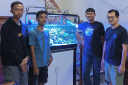 Terumbu Karang Dipelihara di Akuarium Rumahan, Kenapa Tidak? Komunitas Ini Buktinya