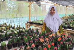 Cuan Mengalir Mulus dari Sukulen dan Kaktus