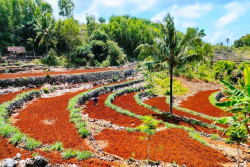 Petani Gunungkidul Diminta Segera Tebus Pupuk Bersubsidi